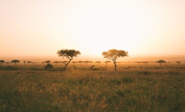 7 DAYS THE NORTHERN CIRCUIT EXTENDED LUXURY SAFARI