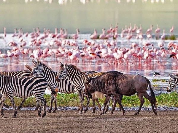 lake manyara