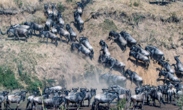 5 DAYS TARANGIRE, NGORONGORO & SERENGETI LUXURY SAFARI