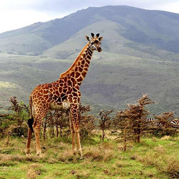 arusha national park